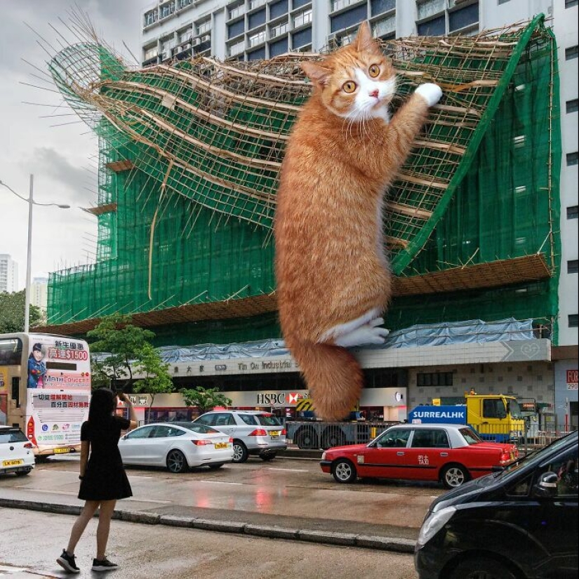 This Artist Reimagined Hong Kong With Giant Animal Residents In His Surreal Depictions