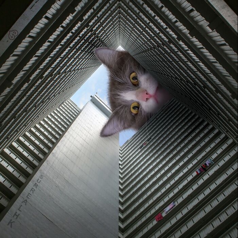 This Artist Reimagined Hong Kong With Giant Animal Residents In His Surreal Depictions