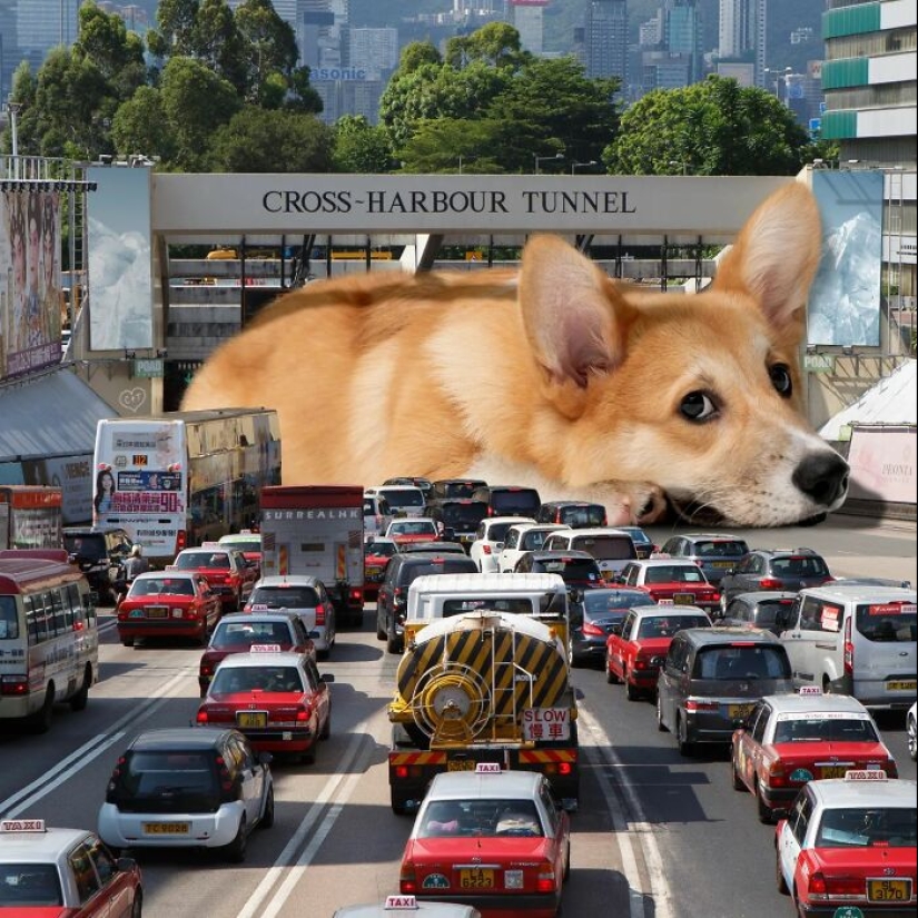 This Artist Reimagined Hong Kong With Giant Animal Residents In His Surreal Depictions