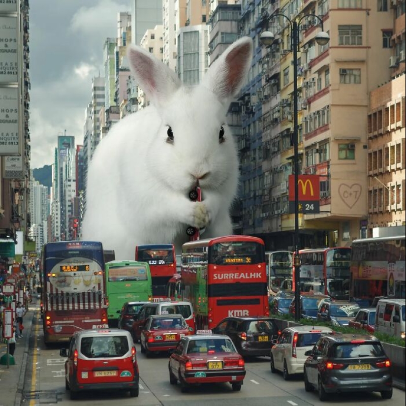 This Artist Reimagined Hong Kong With Giant Animal Residents In His Surreal Depictions