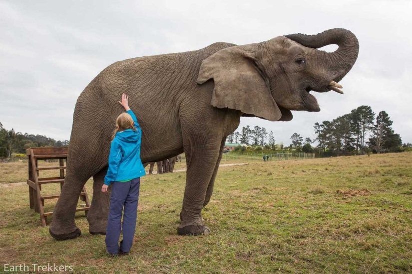 This family sold their house and cars to travel around the world.