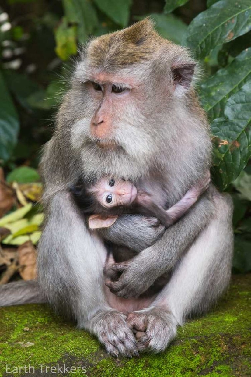 This family sold their house and cars to travel around the world.