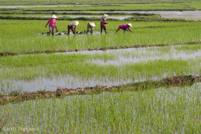 This family sold their house and cars to travel around the world.