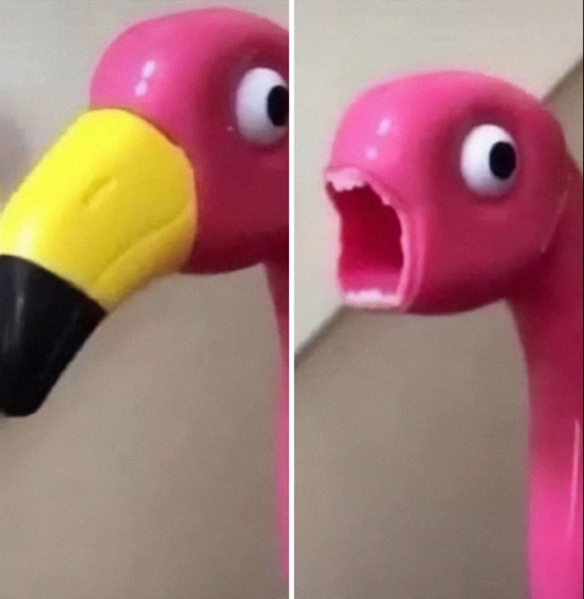 This IG Page Is A Treasure Trove Of ‘Blursed’ Imagery, And Here Are 10 Of The Most Confusing (Part2) This IG Page Is A Treasure Trove Of ‘Blursed’ Imagery, And Here Are 10 Of The Most Confusing (Part2)