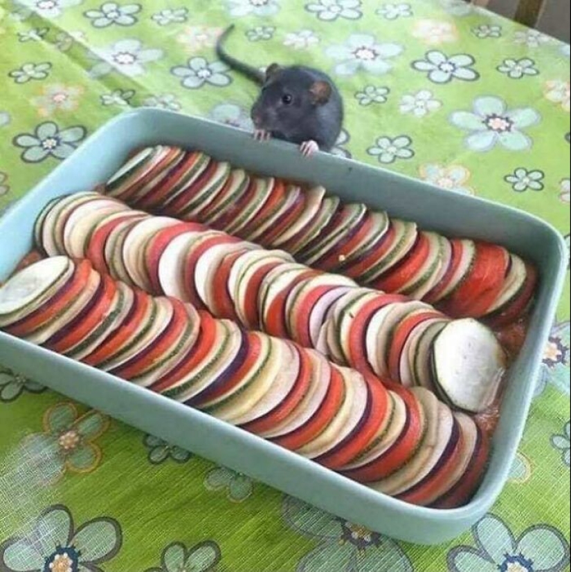 This IG Page Is A Treasure Trove Of ‘Blursed’ Imagery, And Here Are 10 Of The Most Confusing (Part2) This IG Page Is A Treasure Trove Of ‘Blursed’ Imagery, And Here Are 10 Of The Most Confusing (Part2)