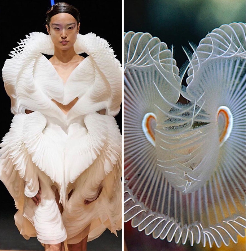 This Instagram Account Shows The Parallels Between Fashion And Nature