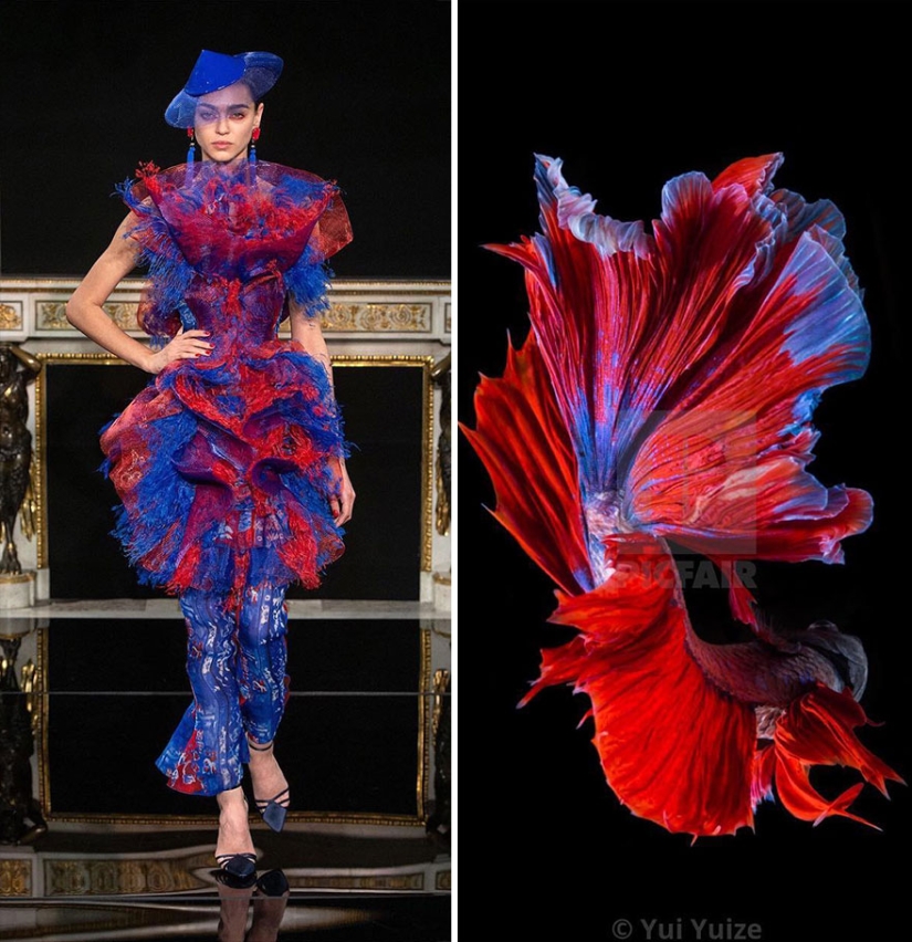 This Instagram Account Shows The Parallels Between Fashion And Nature