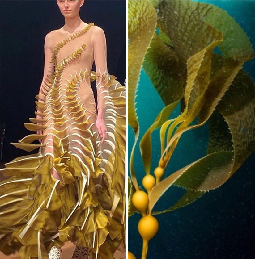 This Instagram Account Shows The Parallels Between Fashion And Nature