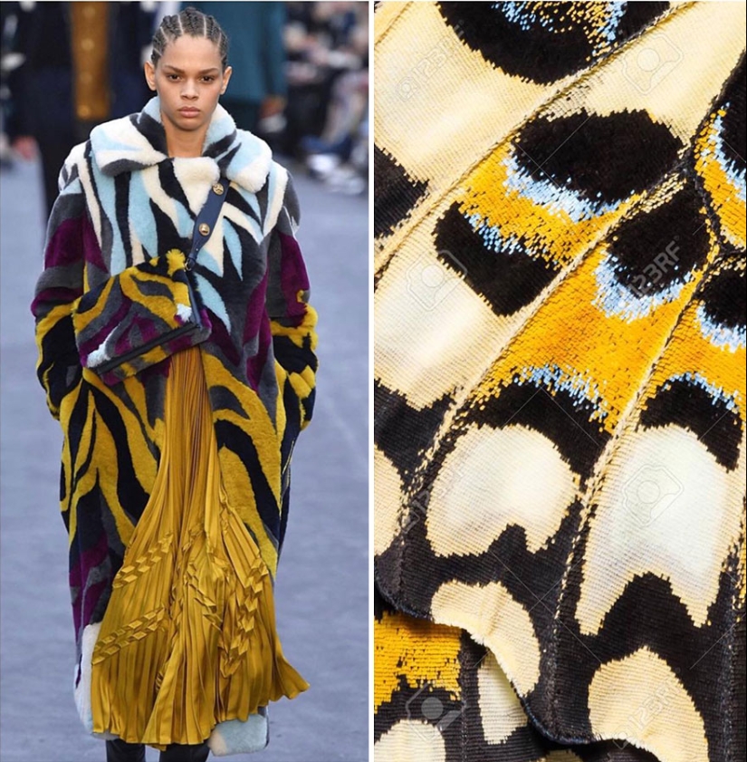 This Instagram Account Shows The Parallels Between Fashion And Nature