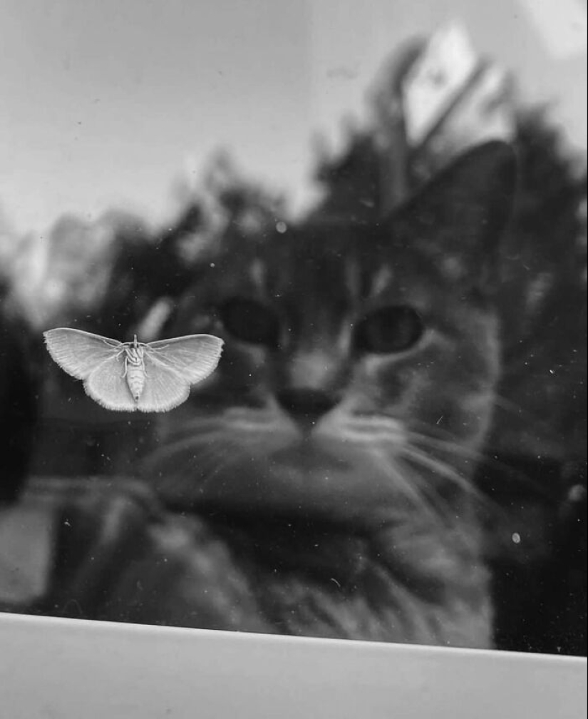 This Instagram Account Continues To Share Highly Amusing Street Photos; Here Are Their 19 Newest Ones