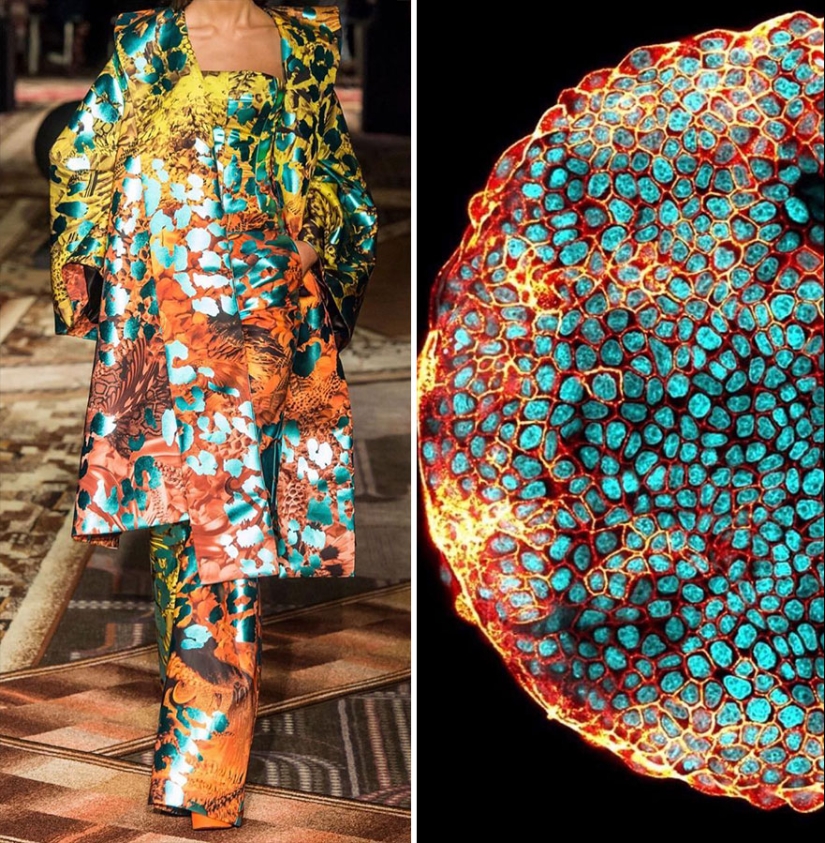 This Instagram Account Shows The Parallels Between Fashion And Nature