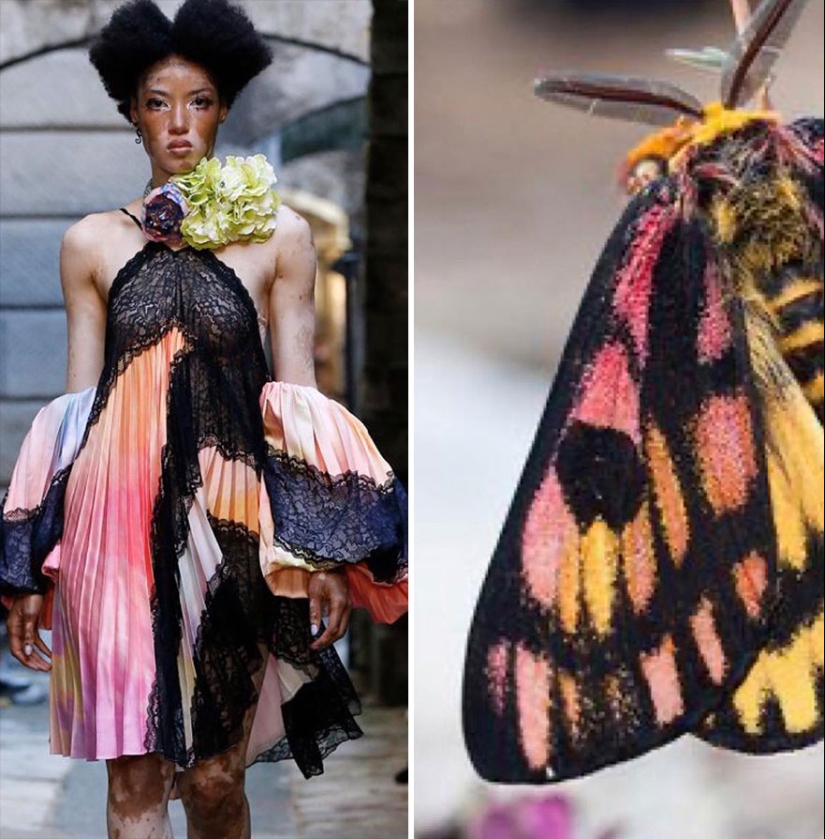 This Instagram Account Shows The Parallels Between Fashion And Nature
