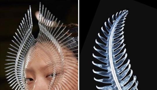 This Instagram Account Continues To Share Highly Amusing Street Photos; Here Are Their 19 Newest Ones