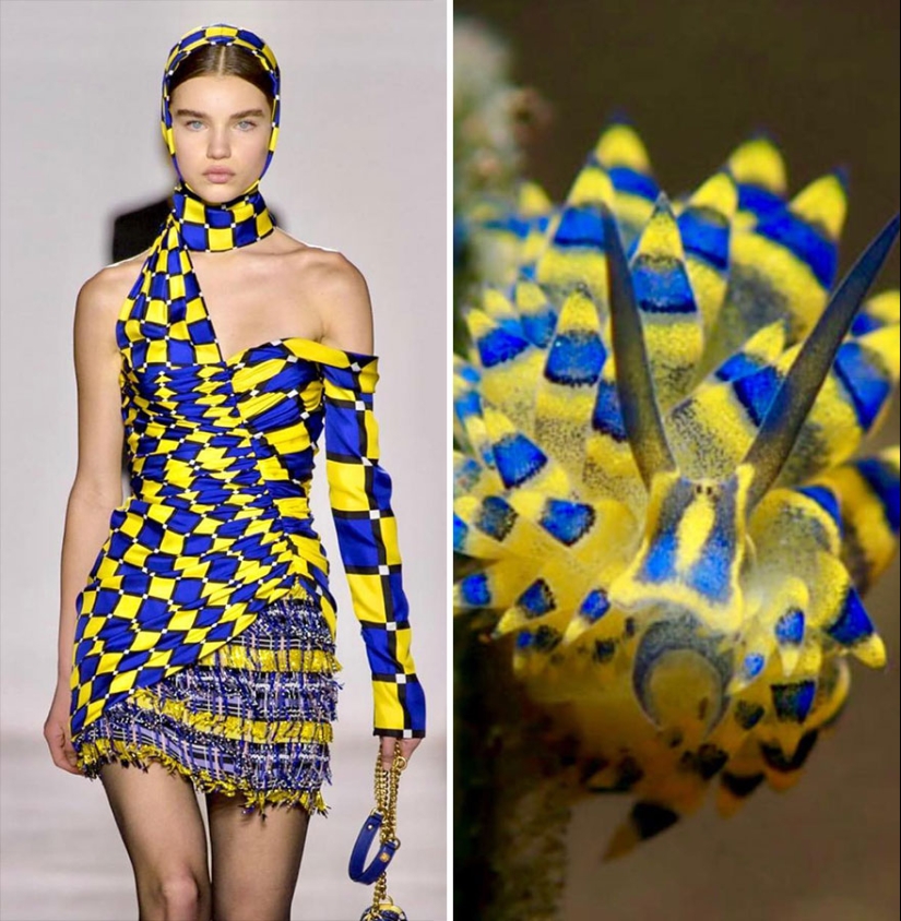 This Instagram Account Shows The Parallels Between Fashion And Nature