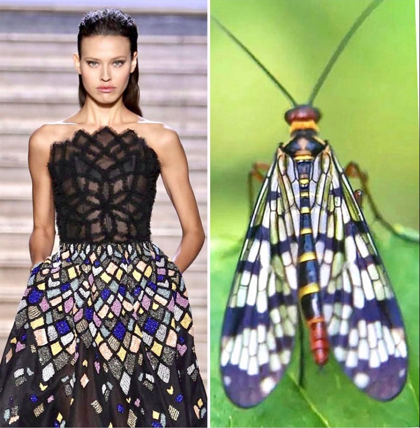 This Instagram Account Shows The Parallels Between Fashion And Nature