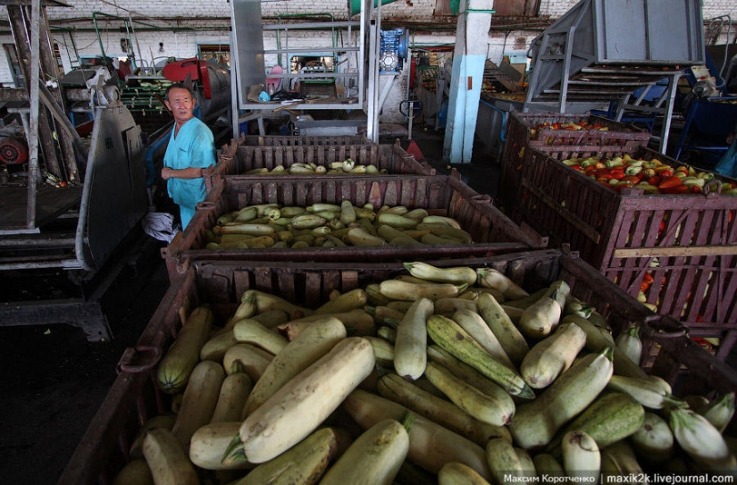 This is how canned goods are made. This is how canned goods are made.