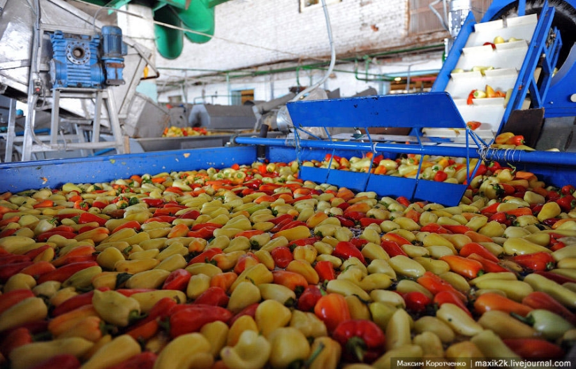 This is how canned goods are made. This is how canned goods are made.