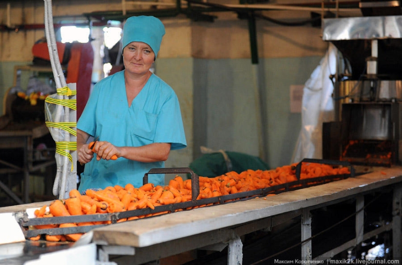 This is how canned goods are made. This is how canned goods are made.
