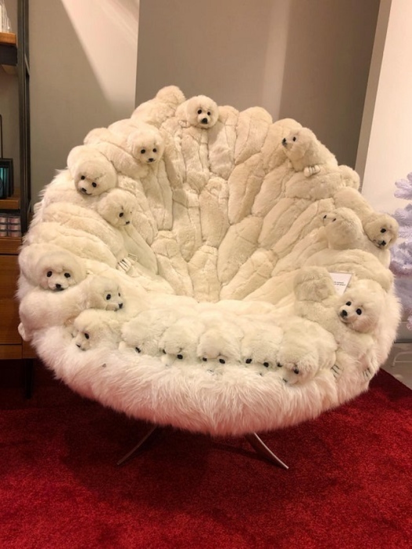 This is what happens when rain falls on the world's driest desert This is what happens when rain falls on the world's driest desert