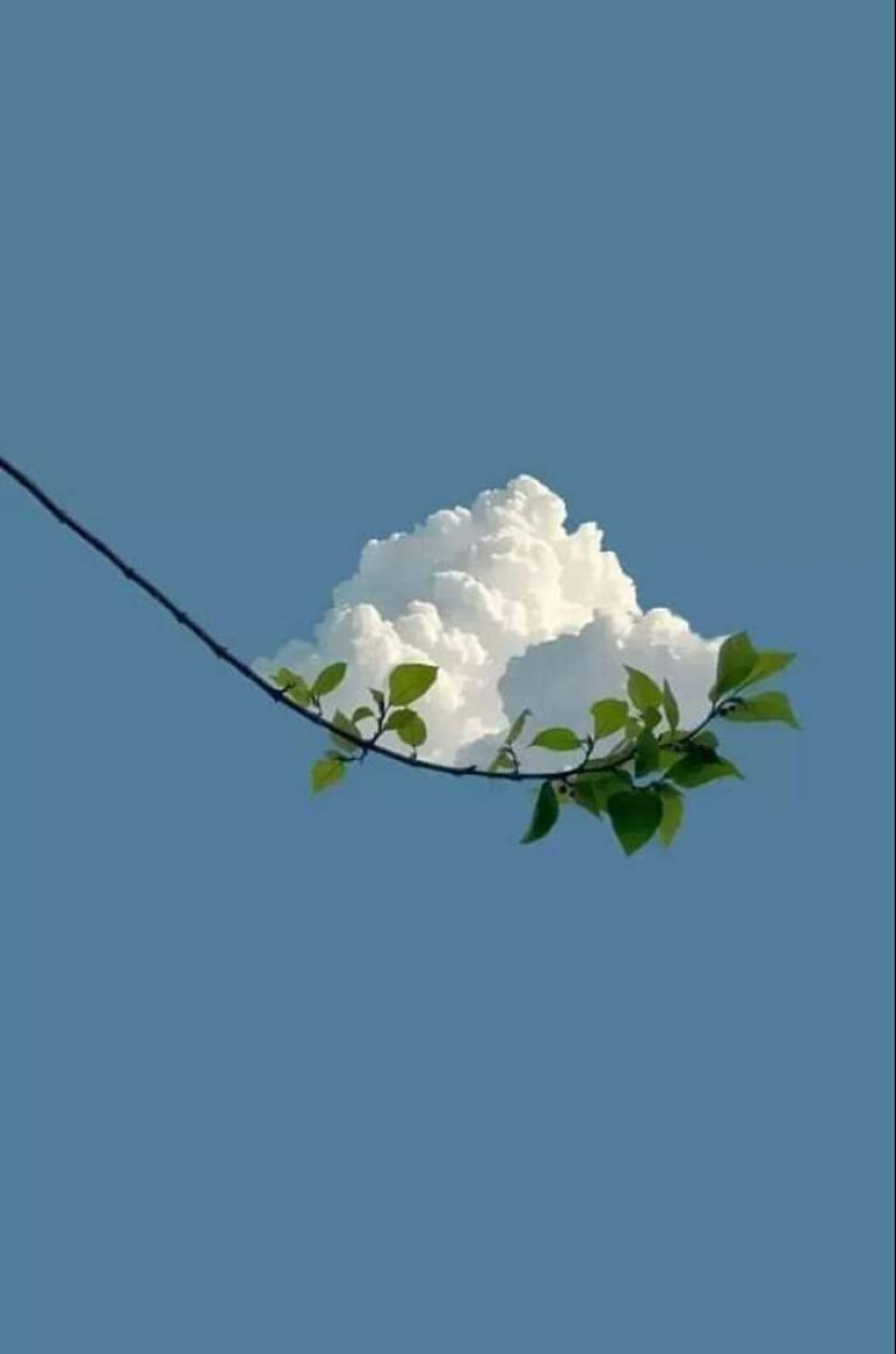 This Online Group Is Dedicated To Things That Are Inexplicably Satisfying, Here Are 24 Of The Best Ones