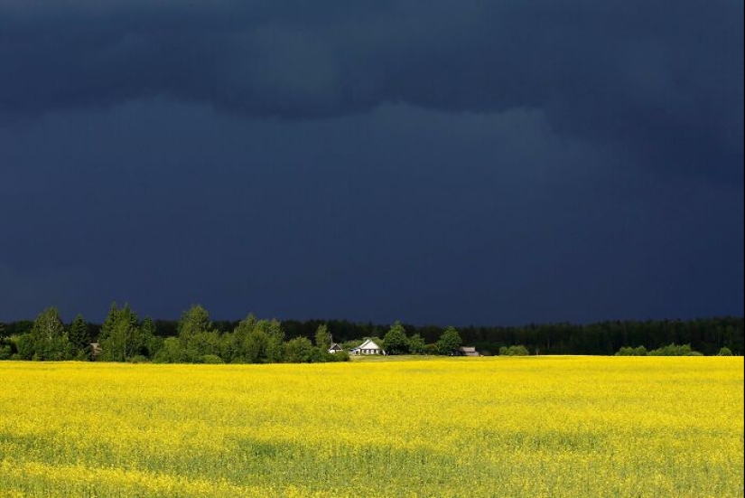 This Online Group Is Dedicated To Things That Are Inexplicably Satisfying, Here Are 24 Of The Best Ones