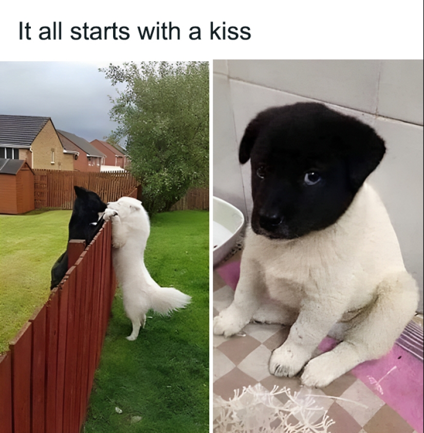 This Page Shares The Most Random And Entertaining Pics, And Here’s 10 Of The Best