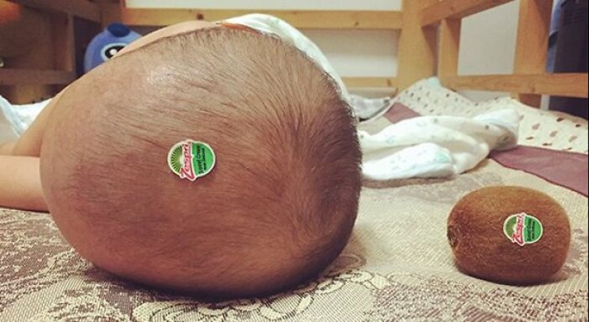 This Page Shares The Most Random And Entertaining Pics, And Here’s 10 Of The Best