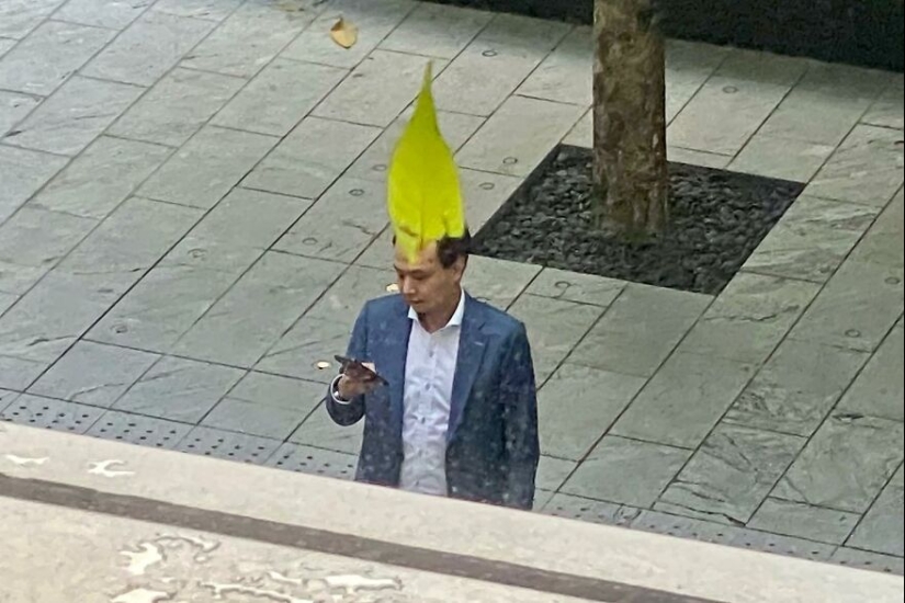 This Photographer Captured Funny Accidental Images While Strolling Through The Streets This Photographer Captured Funny Accidental Images While Strolling Through The Streets