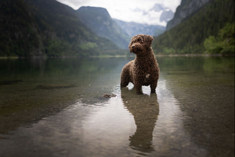 Through The Lens Of A Dog Lover: 15 Of My Favorite Photographs I Took Through The Lens Of A Dog Lover: 15 Of My Favorite Photographs I Took