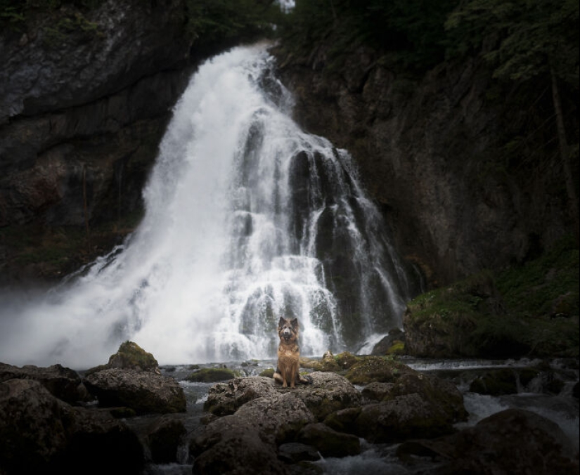 Through The Lens Of A Dog Lover: 15 Of My Favorite Photographs I Took Through The Lens Of A Dog Lover: 15 Of My Favorite Photographs I Took