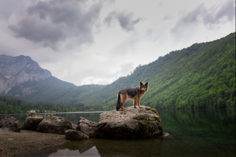 Through The Lens Of A Dog Lover: 15 Of My Favorite Photographs I Took Through The Lens Of A Dog Lover: 15 Of My Favorite Photographs I Took