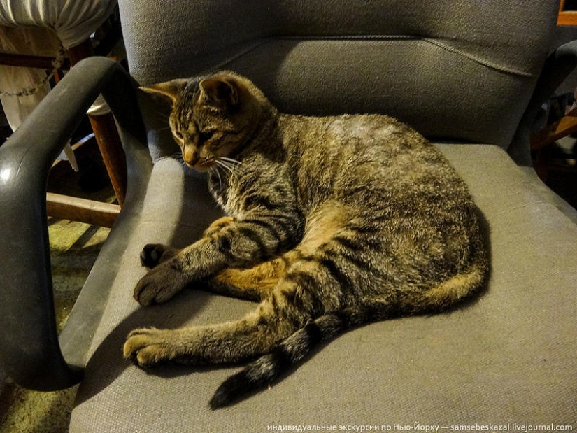 Tienda de artículos de construcción usados Tienda de artículos de construcción usados