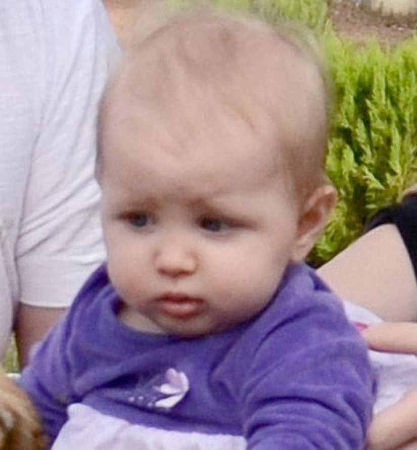 Tiger instead of a pet: 7 predators live in a Brazilian family Tiger instead of a pet: 7 predators live in a Brazilian family