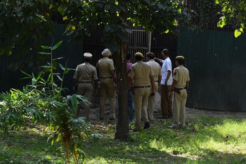 Tigre blanco mata a joven en zoológico indio