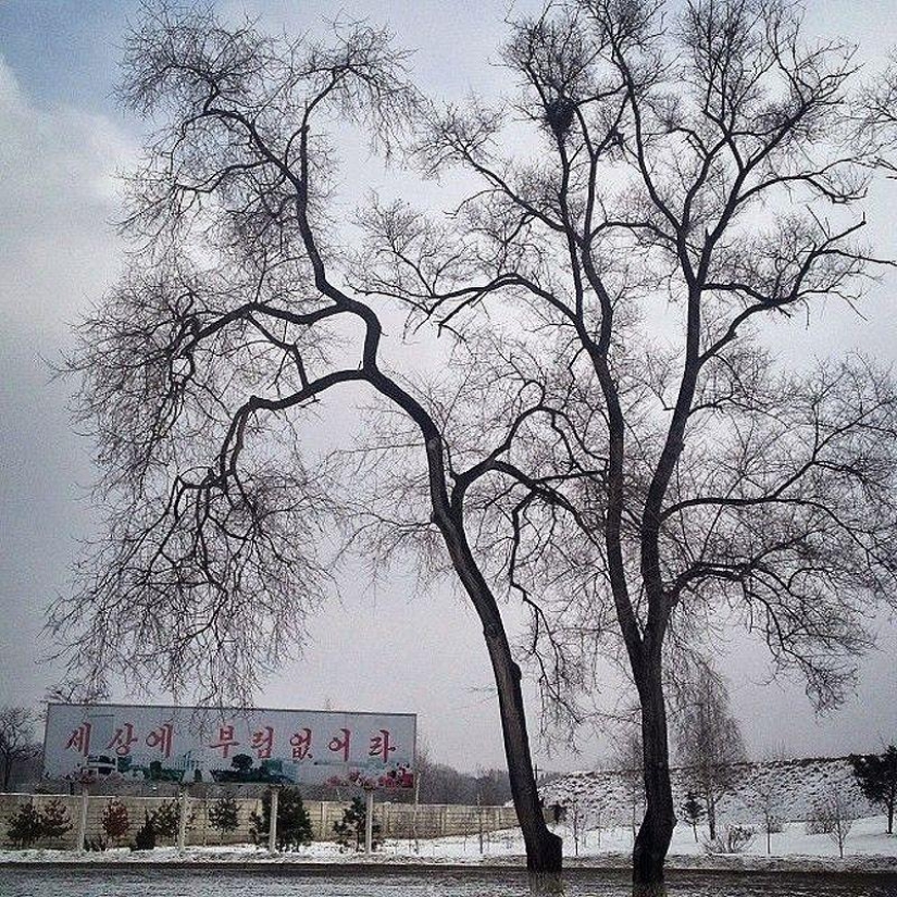 TIME Instagram Photographer of the Year Awarded to North Korea Blogger