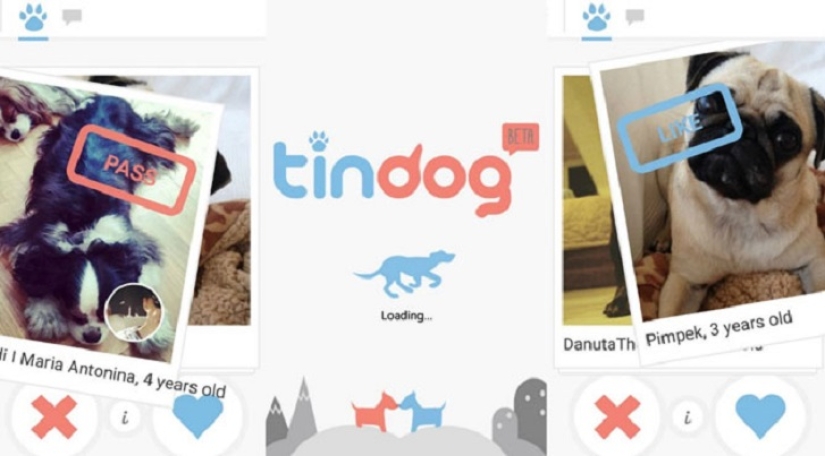 Tinder lanza aplicación de citas para perros