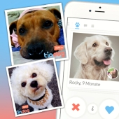 Tinder lanza aplicación de citas para perros