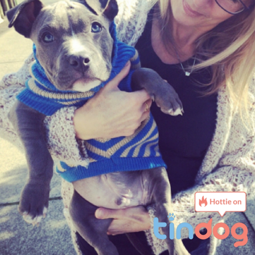 Tinder lanza aplicación de citas para perros