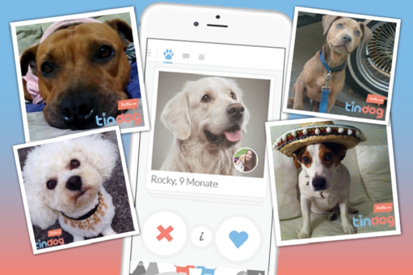 Tinder launches dog dating app