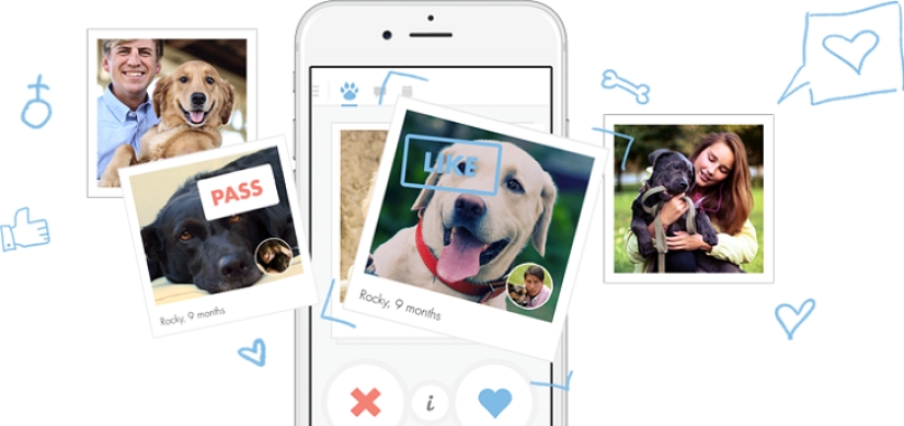 Tinder launches dog dating app