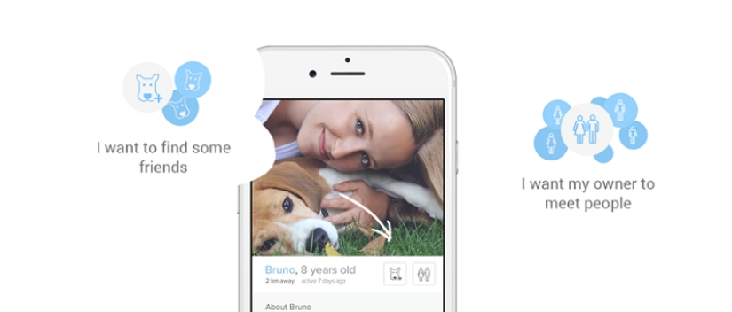 Tinder launches dog dating app