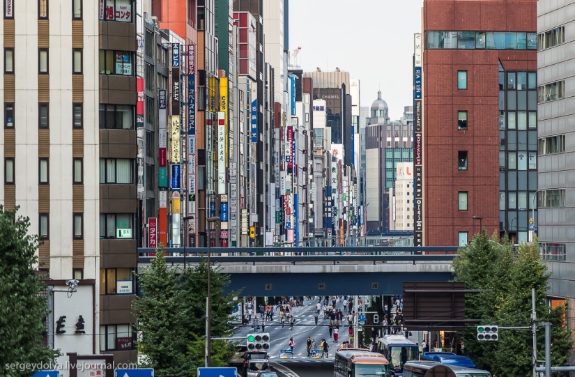 Tokio decepcionante Tokio decepcionante