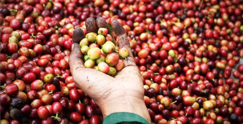 Top 10 Most Expensive Victoria's Secret Shows