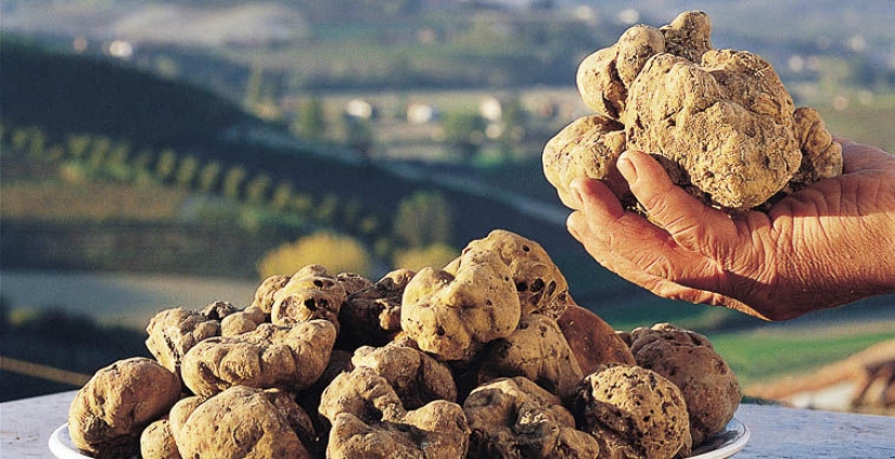 Top 10 Most Expensive Victoria's Secret Shows