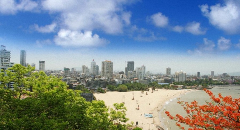 Top 20 largest cities in the world Top 20 largest cities in the world