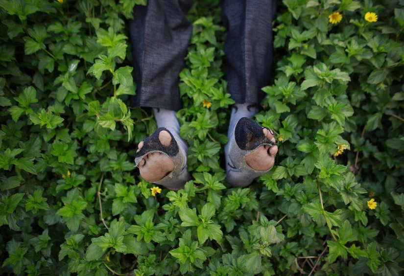 Top 59 Photojournalists of 2013