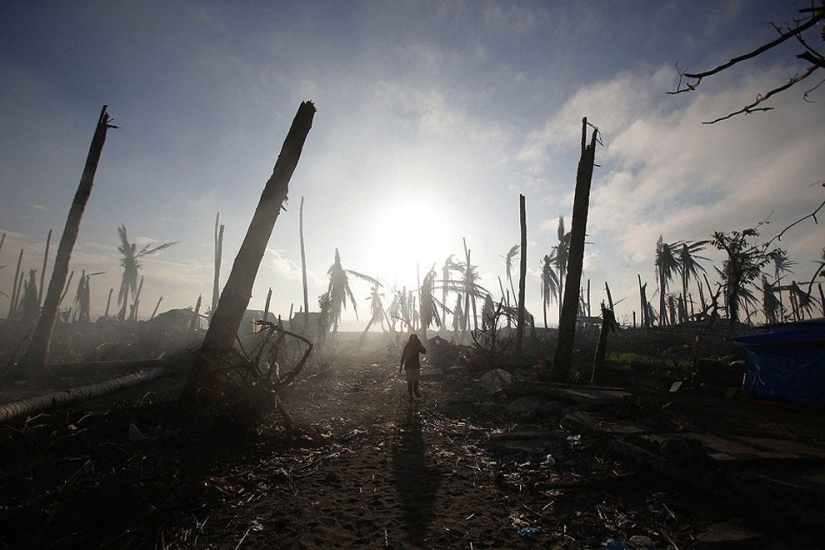 Top 59 Photojournalists of 2013