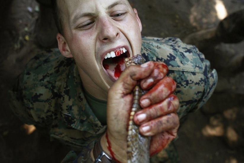 Top 59 Photojournalists of 2013