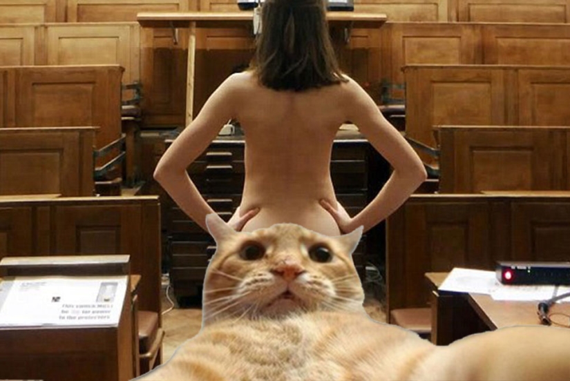 Tough Nuts: finalists of the Cambridge University Best Buttocks Competition