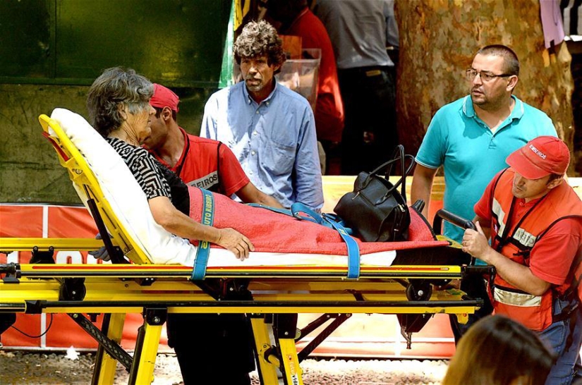 Tragedia en Portugal: un roble de 200 años mató a 13 personas